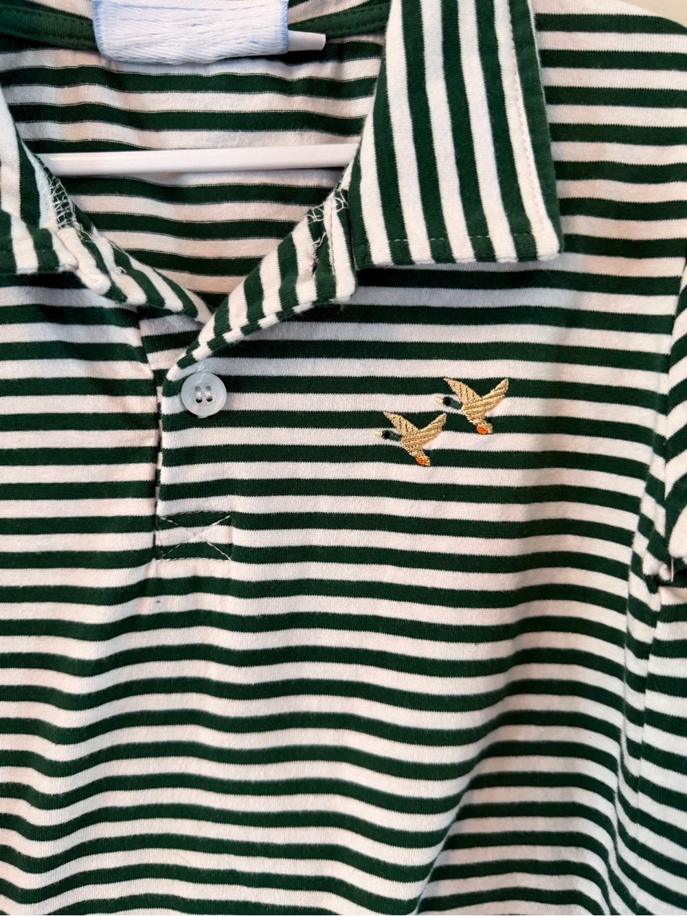 Trotter St. Green Striped Long-Sleeve Polo Shirt - Picture 2 of 3